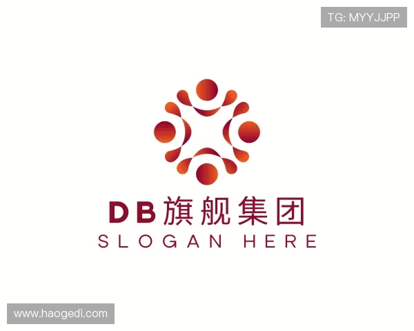 介绍DB旗舰